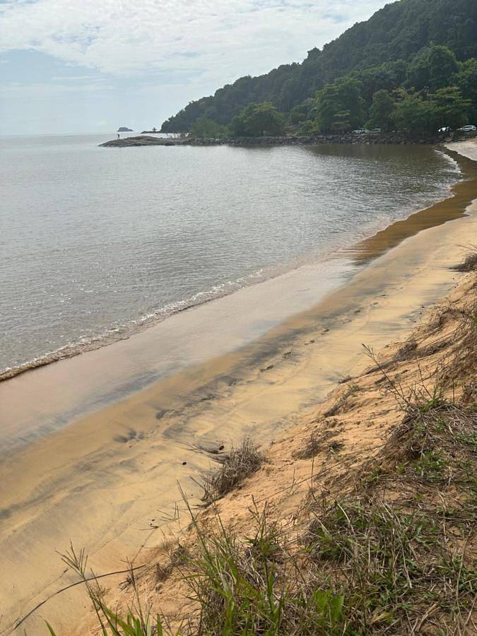 Gîte pour 2 personnes, avec terrasse ainsi que piscine et jardin dans Plage de Montabo - 3