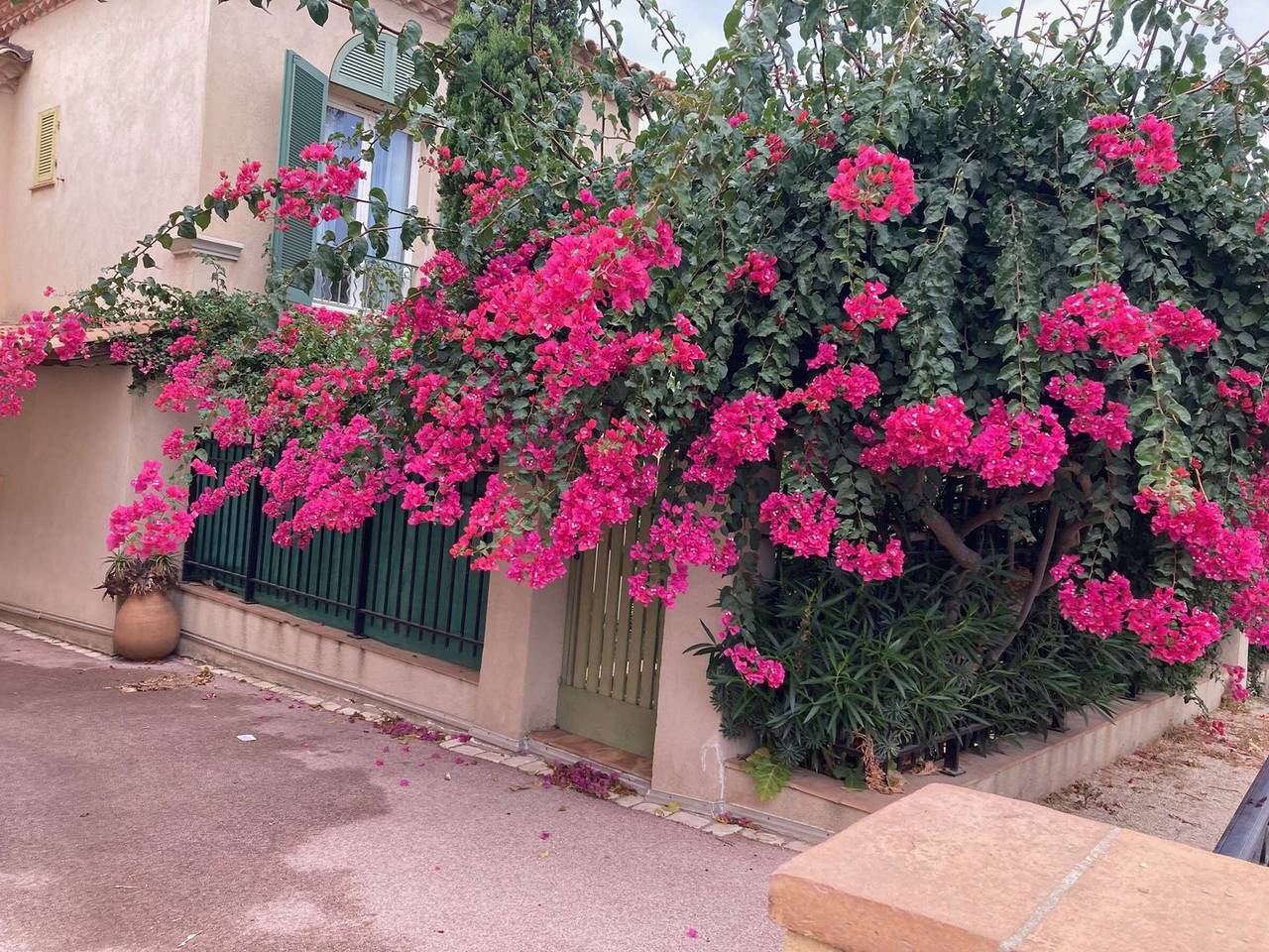 Charming villa 100m from village - 5 guests in Hyeres, Mediterranean Coast (France)
