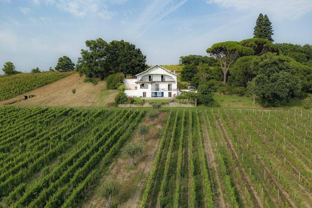 Large designer villa with swimming pool and vineyard - Bordeaux Sud in Cadillac, Región de Langon