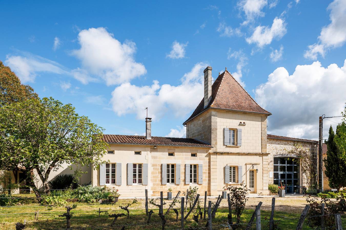 Séjour Authentique au Château Vieux Mougnac : Domaine Viticole Bio, Saint-Emilion, Vins & Détente in Petit-Palais-et-Cornemps, Région de Libourne