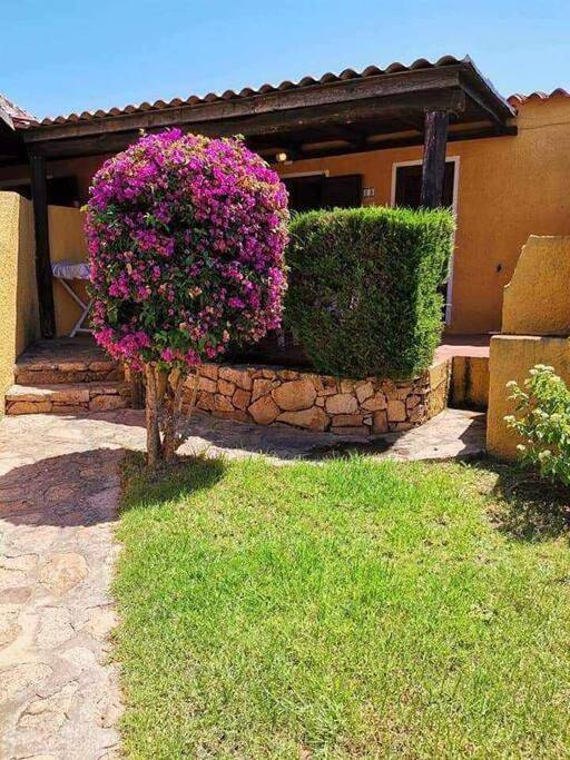 Appartement entier, Casa di Giò - Bilocale con giardino in Porto Pollo, Palau (Sardaigne)
