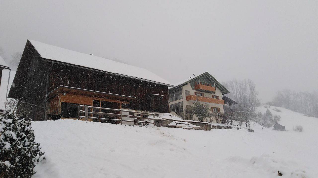 Ganze Ferienwohnung, Ferienwohnung für 5 Personen (90 m²) in Ausserbraz in Bludenz, Lechquellengebirge