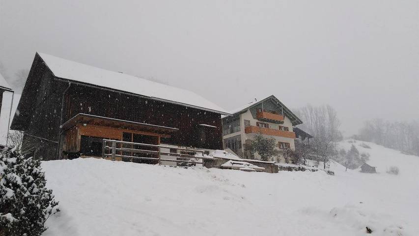 Ferienwohnung für 5 Personen, mit Terrasse und Garten in Bludenz - 3