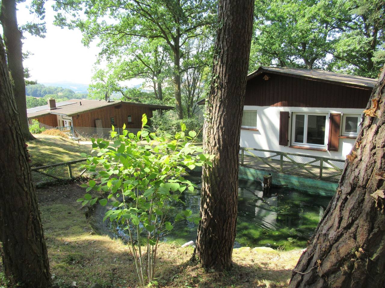 Ferienhäuser mit Pool in ruhiger Lage am Waldrand in Niederaula, Rhön-Hessen