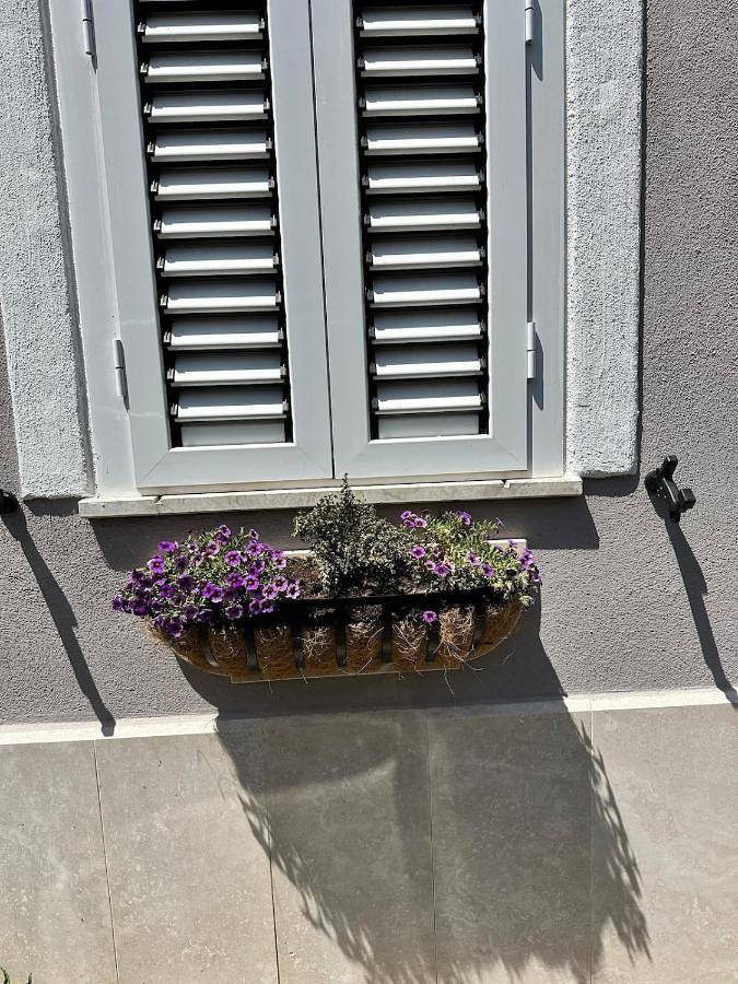 Chambre d’hôte pour 4 personnes à Cisterna di Latina - 2