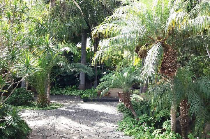 10.000 m2 Tropical peaceful Garden near the Sea, Pool & Sea Views in Playa del Socorro, Los Realejos