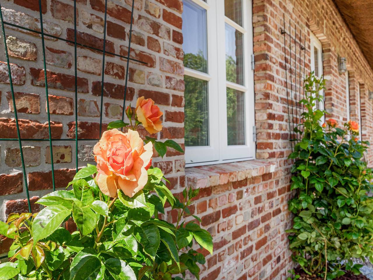 5-Sterne Reetdach-Ferienhaus "Emmas Hus" mit Sauna und Kamin in Tammensiel, Pellworm