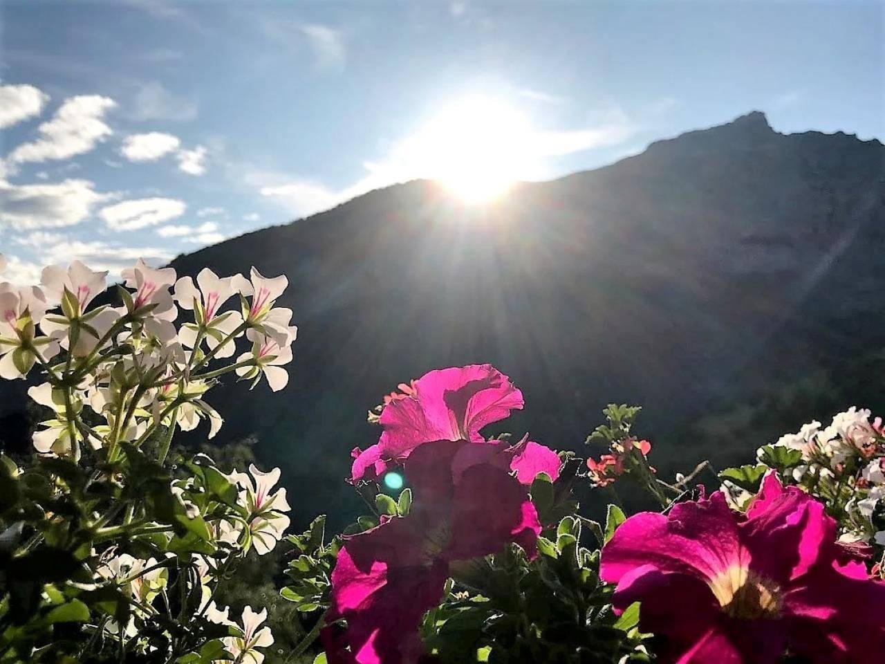 Appartamento intero, Chalet Abendstern in Albinen, Leukerbad e dintorni