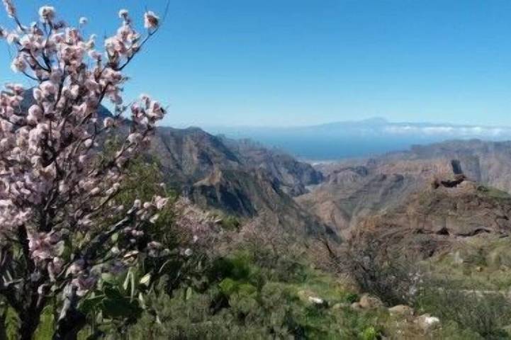 Casa rural para 2 personas, con jardín además de jacuzzi y terraza, Se admiten mascotas - 1