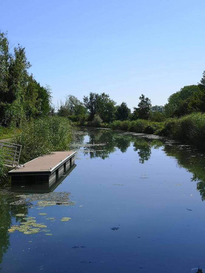Bateau pour 5 personnes, avec terrasse et vue, animaux acceptés en Bourgogne-Franche-Comté - 2
