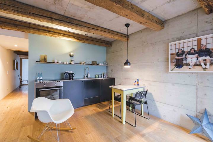 Ganze Ferienwohnung, Friz B&B und Lounge - Friz 4, Modernes Apartment in historischer Scheune in Gundelfingen, Südschwarzwald
