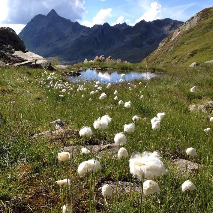 Bnb für 2 Personen, mit Balkon und Terrasse sowie Garten und Sauna in Silvretta Montafon - 3
