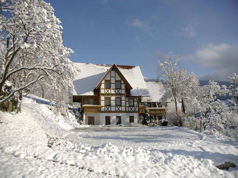 Bäuerlehof in Seebach (Ortenaukreis), Forêt-Noire centrale