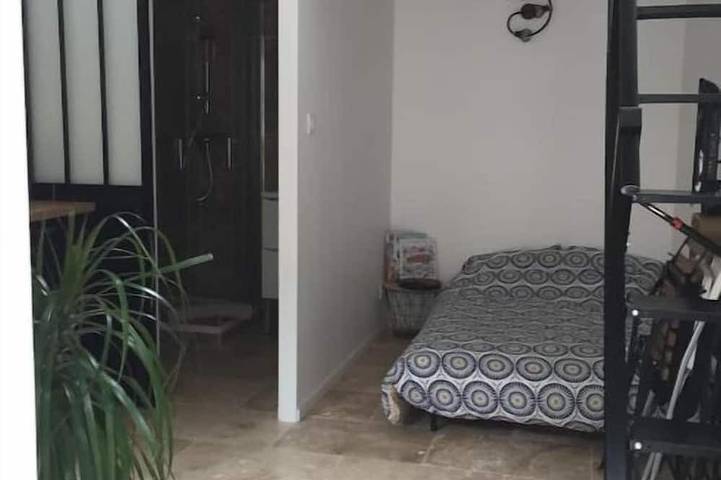 Gîte pour 2 personnes, avec jardin à Saint-Symphorien-d'Ozon - 3