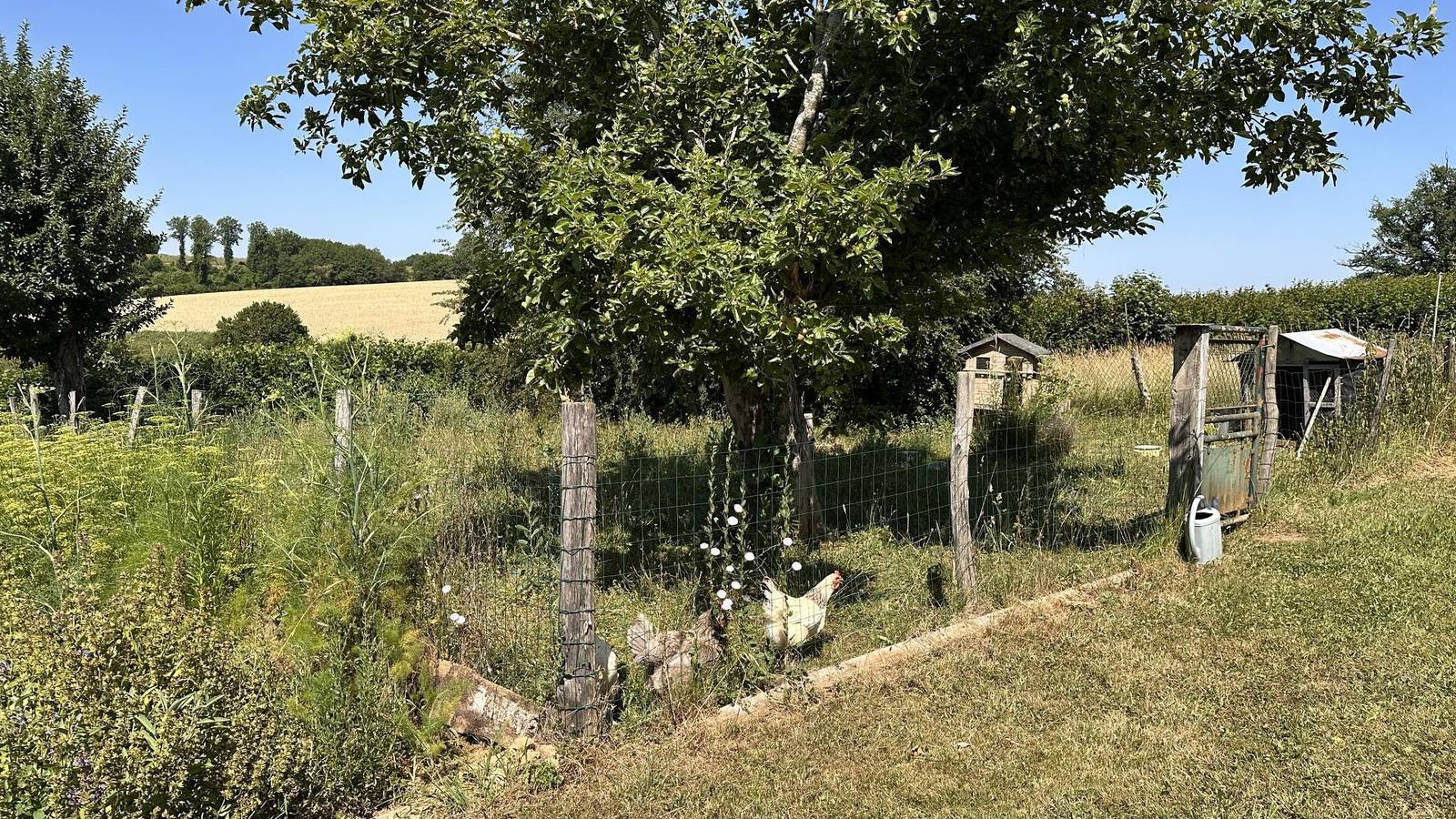 L'humeur vagabonde in Linards, Région de Limoges