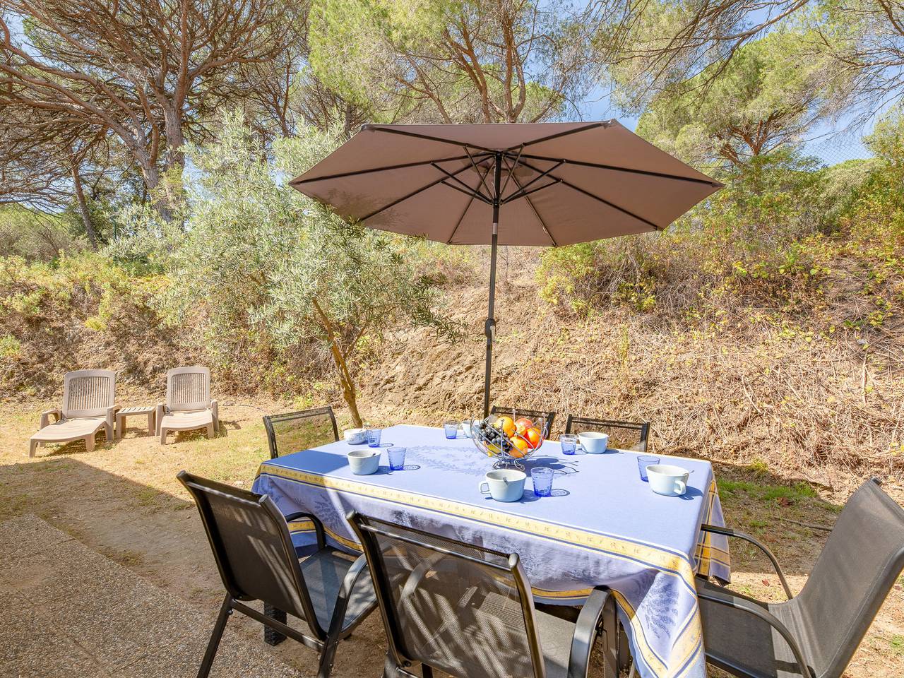 Apartamento entero, Les Eucalyptus in Frejus, Region de Draguignan