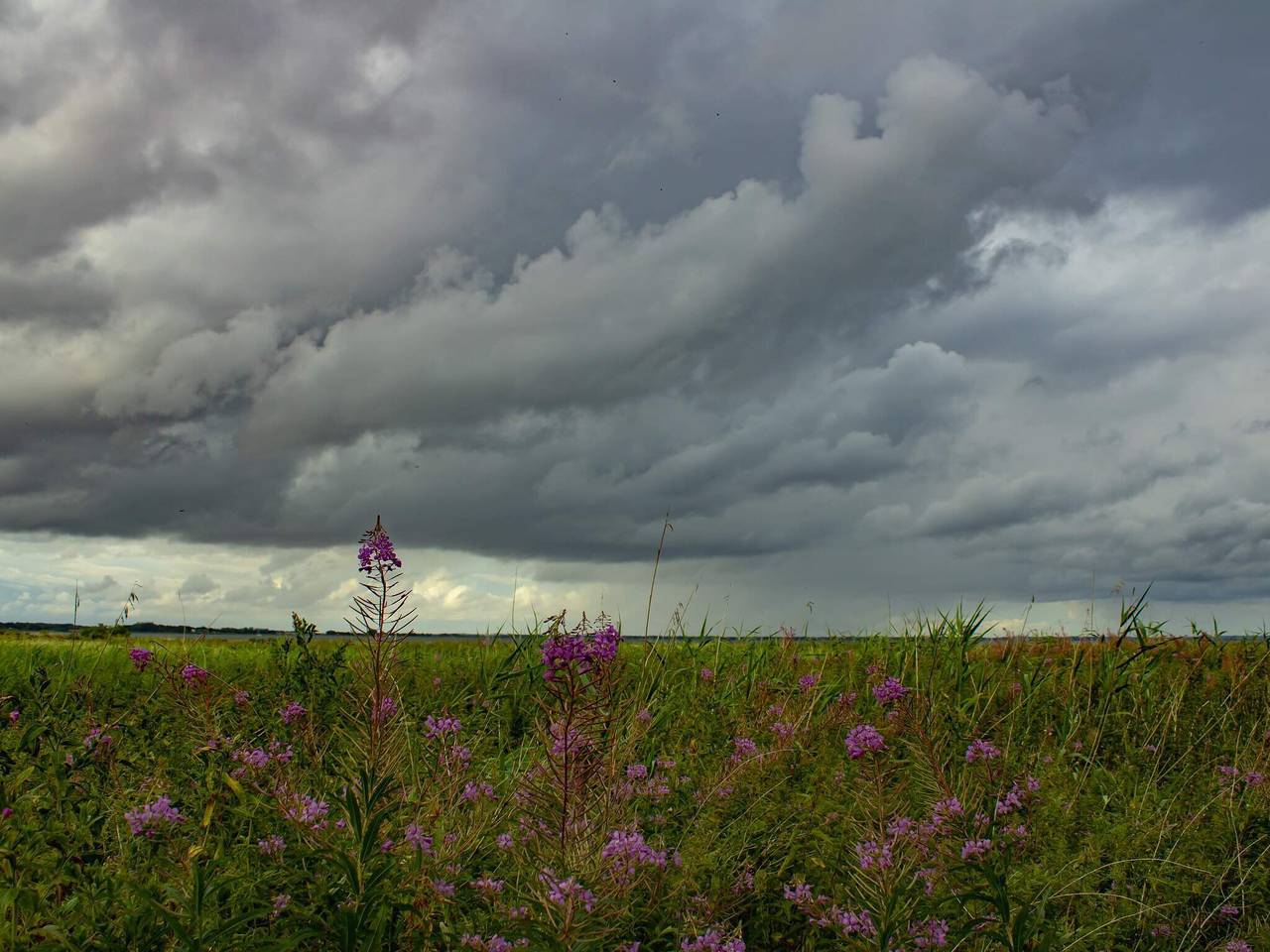 6 Personen Ferienhaus in Nibe in Klitgårds Fiskerleje, Limfjord in Nordjütland