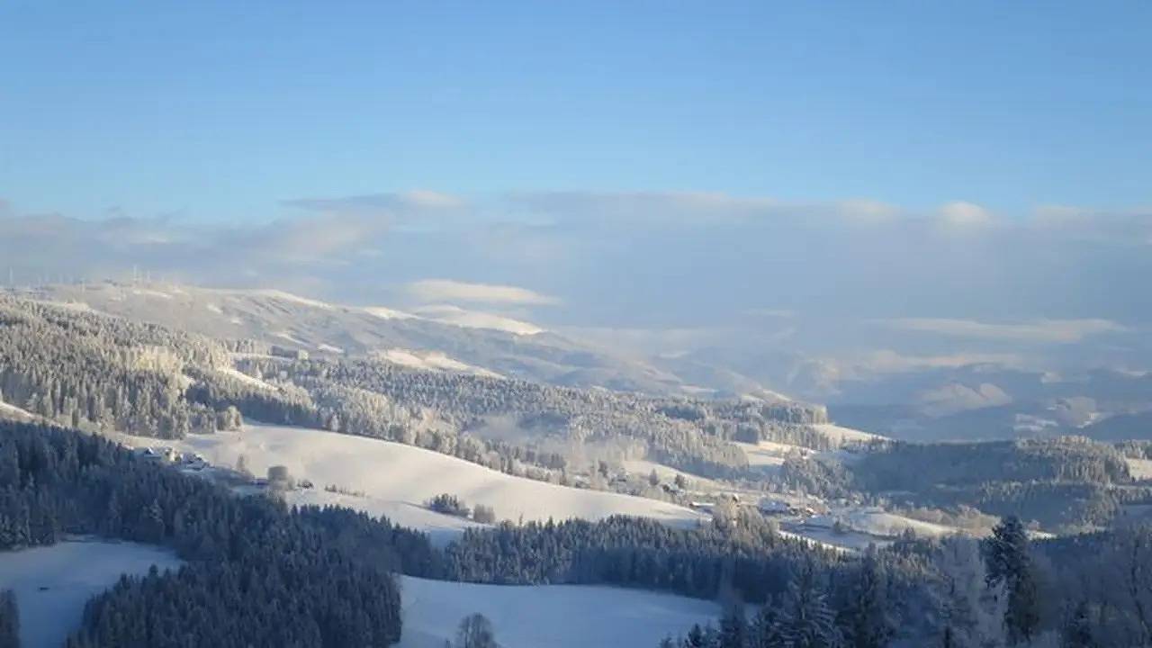 Ganze Ferienwohnung, Ferienwohnung für 3 Personen (55 m²) in Fischbach in Fischbach, Steirerland