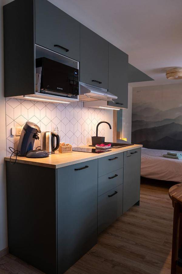 Appartement entier, Rêverie du Val in Triembach-au-Val, Région de Sélestat-Erstein