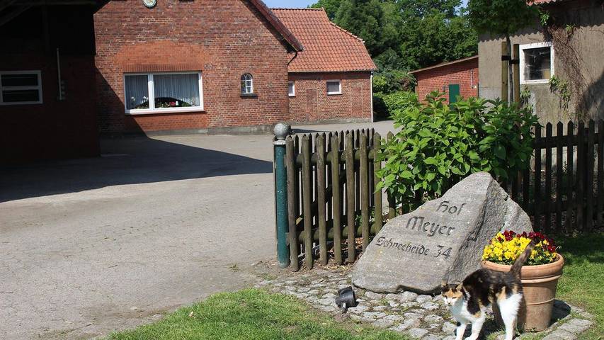 Ferienwohnung für 2 Personen, mit Garten in Landkreis Heidekreis - 3