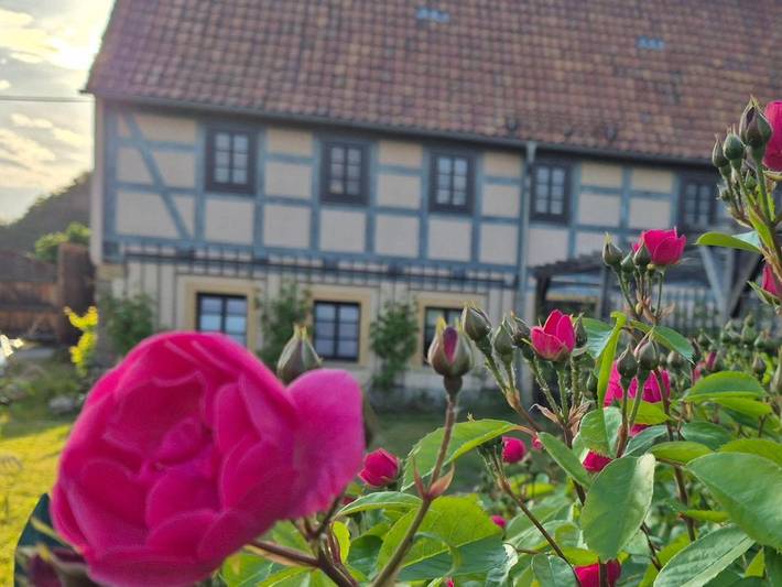 Ferienwohnung für 2 Personen, mit Terrasse und Garten sowie Ausblick in Coswig - 2
