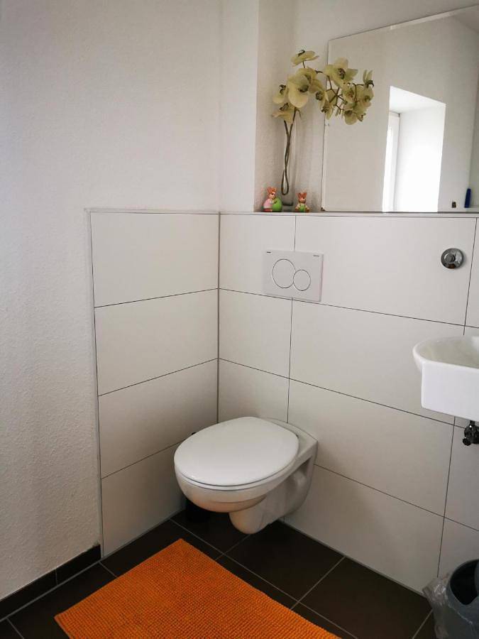 Appartement entier, Apartment - Split Level in Kaiserslautern, Saar-Nahe-Bergland