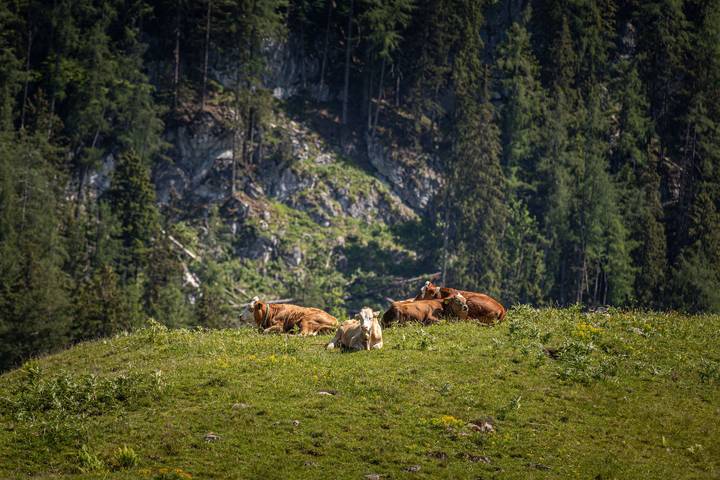 Ferienwohnung für 2 Personen, mit Balkon in Schönau am Königssee - 3