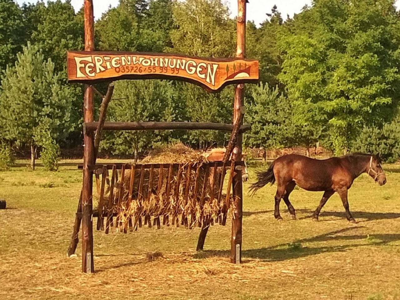 Ganze Ferienwohnung, **Ferienwohnungen am Knappensee** - Spatzennest in Koblenz (Lohsa), Lohsa