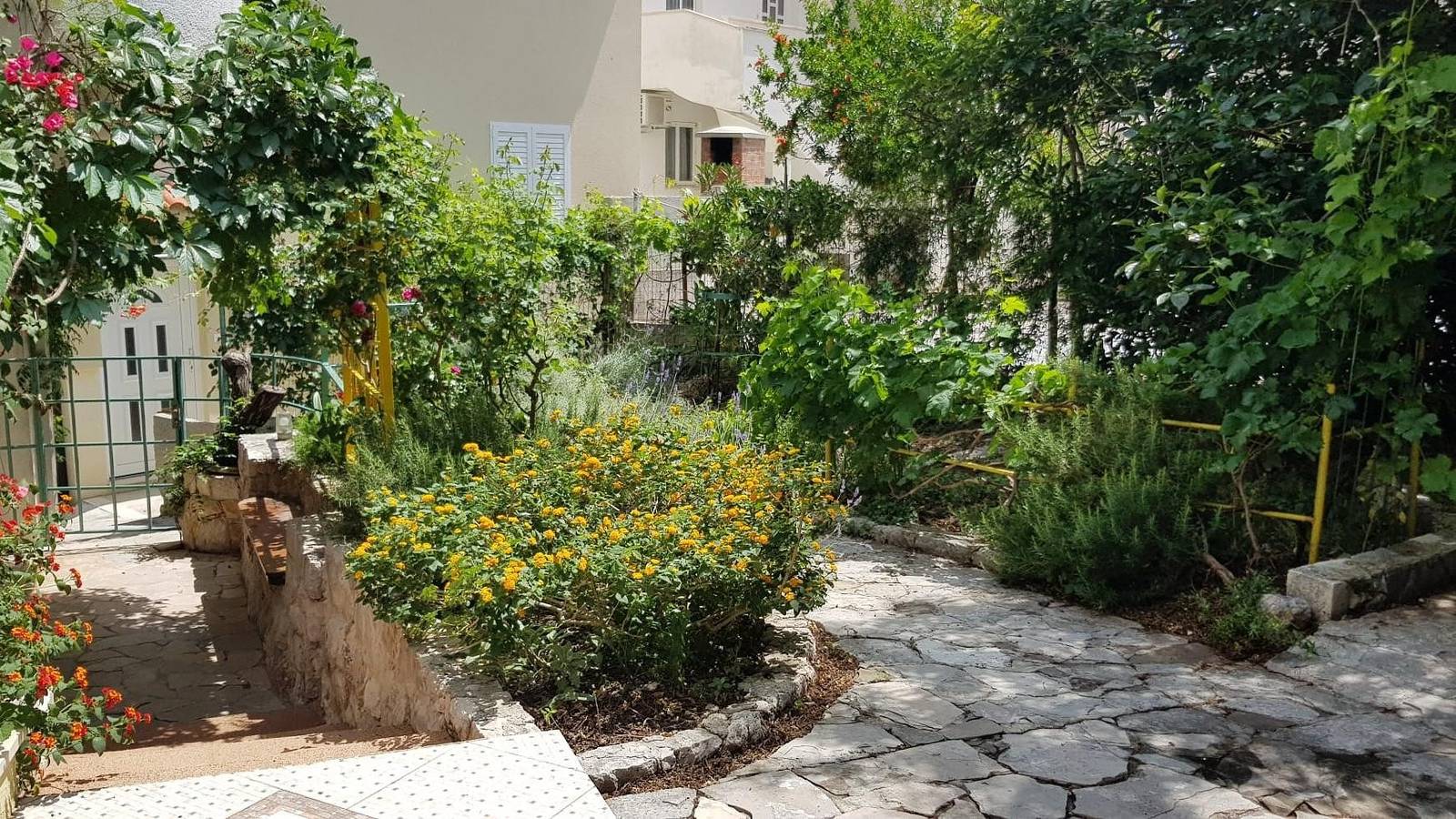 Ganze Wohnung, Apartments by the sea Igrane, Makarska - 24626 in Igrane, Makarska Riviera