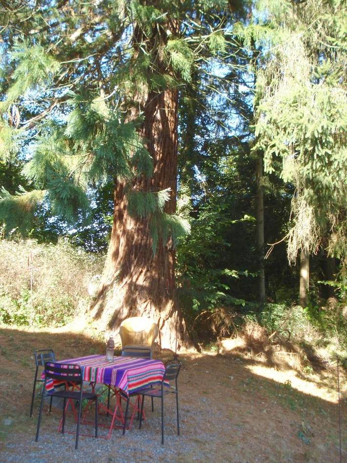 Location de vacances pour 2 personnes, avec vue et terrasse à Sprimont - 4