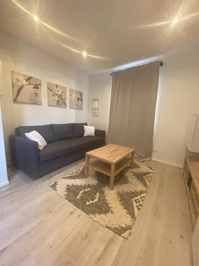 Appartement entier, One-Bedroom Apartment in Royat, Parc naturel régional des Volcans d'Auvergne