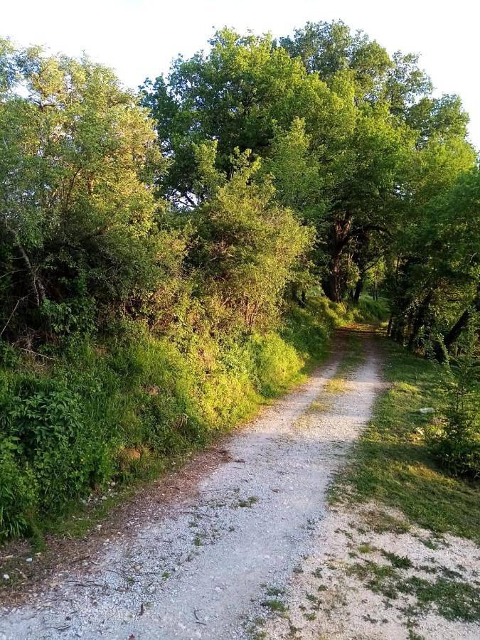 Gîte pour 4 personnes, avec piscine ainsi que vue et jardin à Montcléra - 4