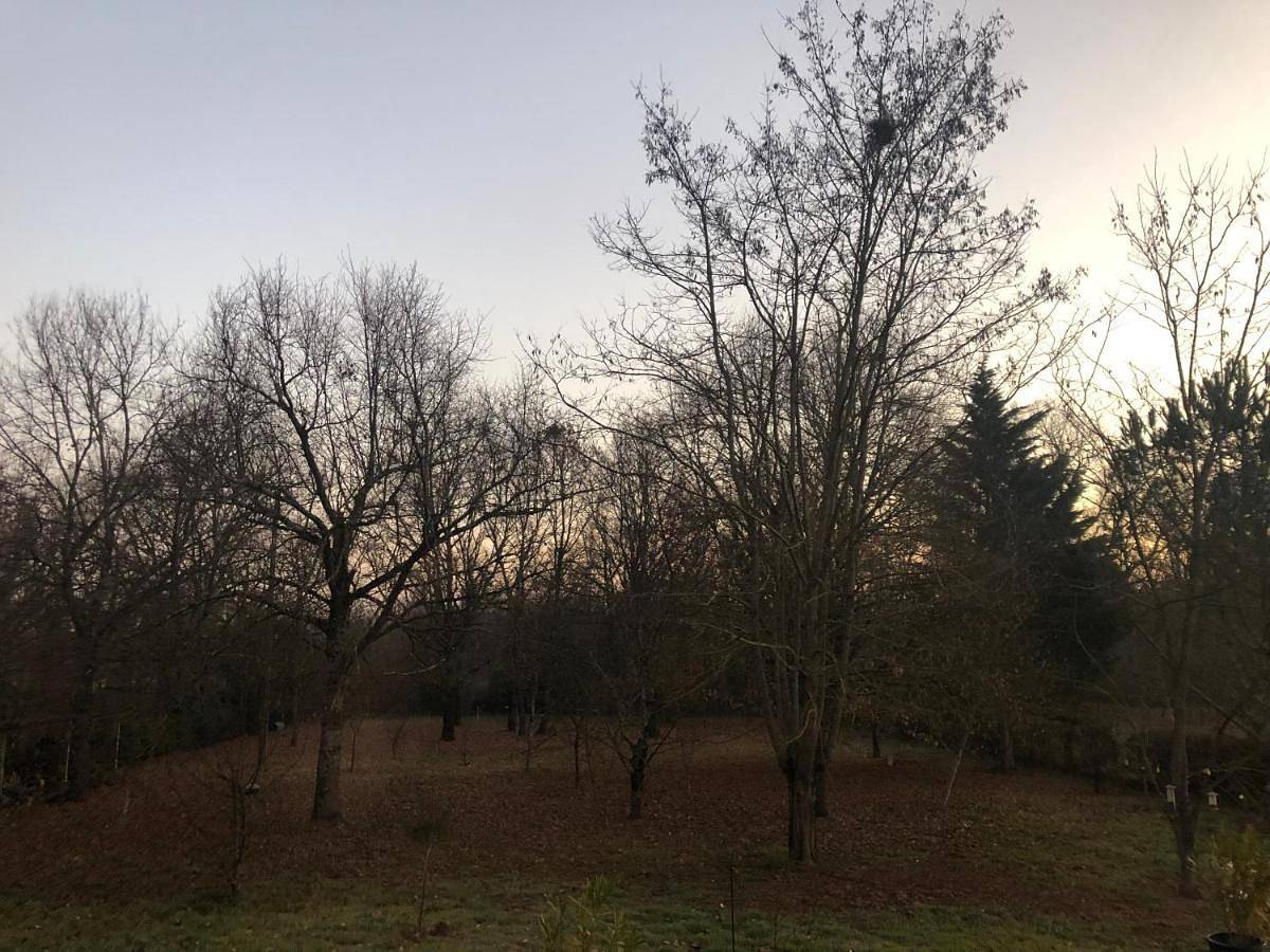 Appartement de vacances entier, Les Dames Noires in Montauban, Tarn-et-Garonne