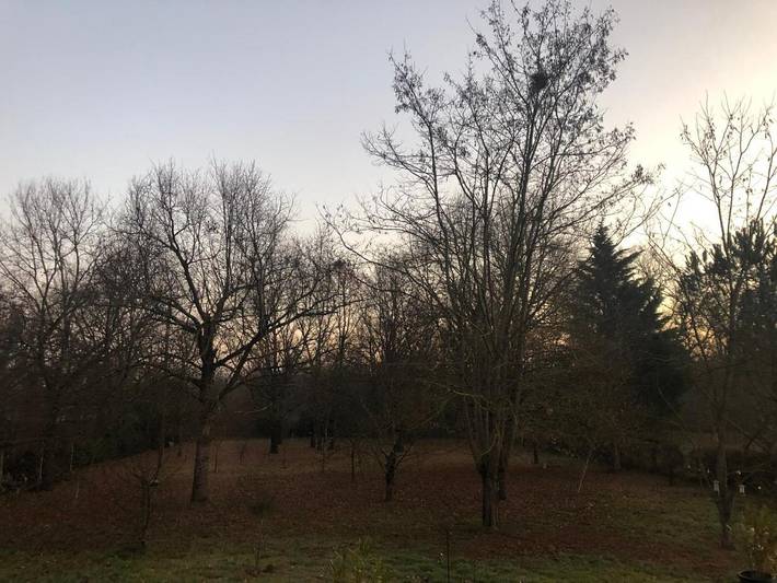 Gîte pour 2 personnes, avec jardin ainsi que vue et piscine à Montauban - 4