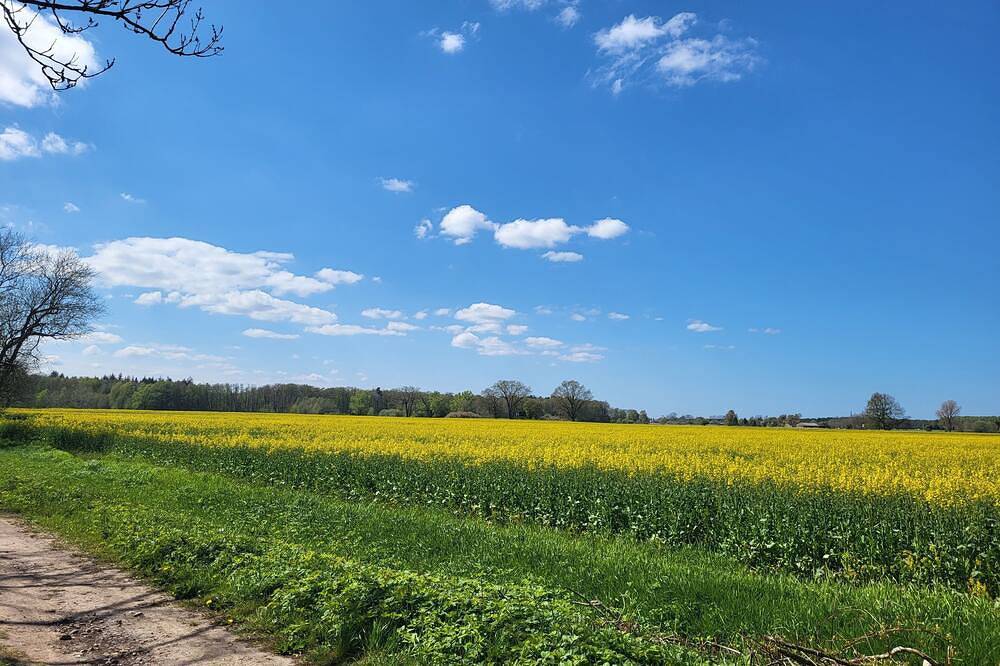 Appartement entier, Ferienwohnung Nähe Ostsee in Ribnitz-Damgarten, Poméranie occidentale