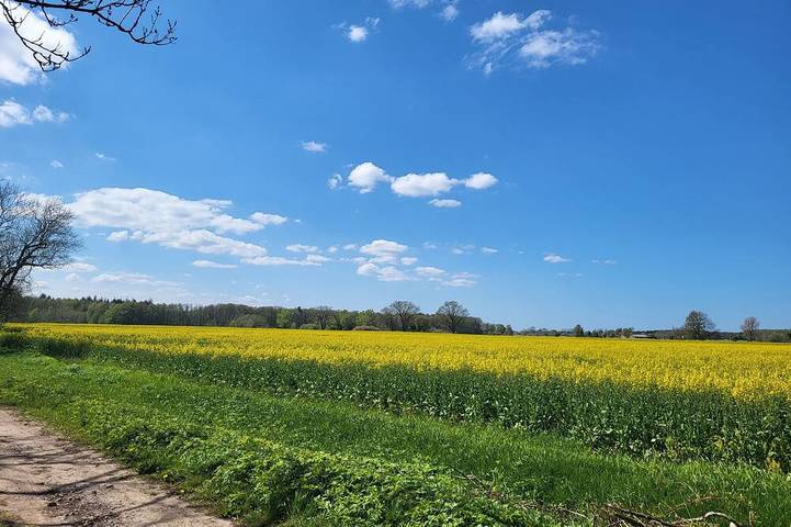 Appartement de vacances pour 5 personnes, avec jardin - 1