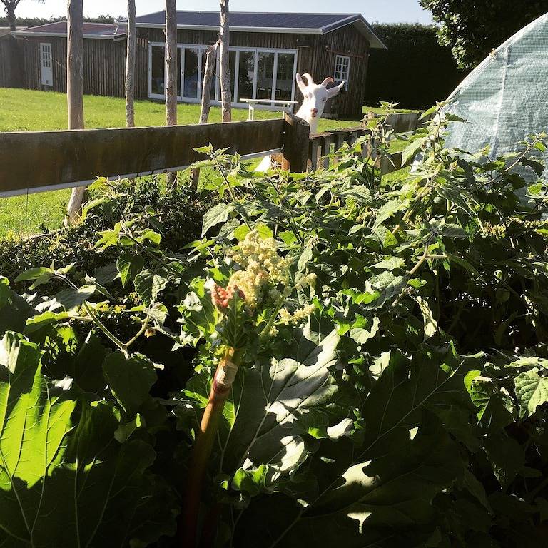 Te Horo Garden Cottage in Kapiti Coast District