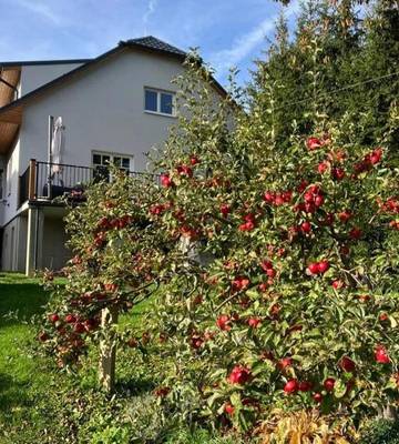Gîte pour 4 personnes, avec terrasse et jardin dans Cicmany