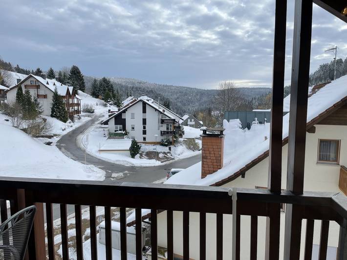 Ganze Ferienwohnung, Ferienwohnung Victoria - Ferienwohnung Victoria mit schöner Aussicht in Todtmoos-Mättle, Todtmoos