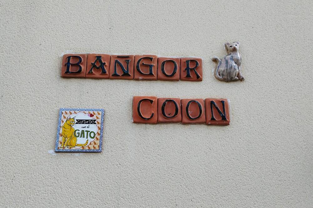 Appartement entier, Le Bangor Coon Appartement Liouba in Forges (Seine-et-Marne), Seine-et-Marne