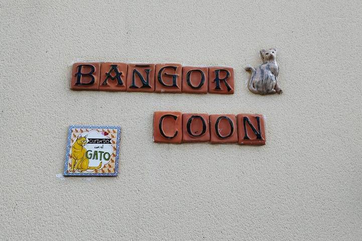 Gîte pour 6 personnes, animaux acceptés dans Forges (Seine-et-Marne)