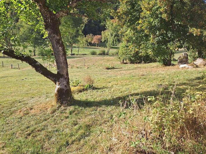Location de vacances pour 6 personnes, avec jardin et vue, animaux acceptés à Tauves - 3