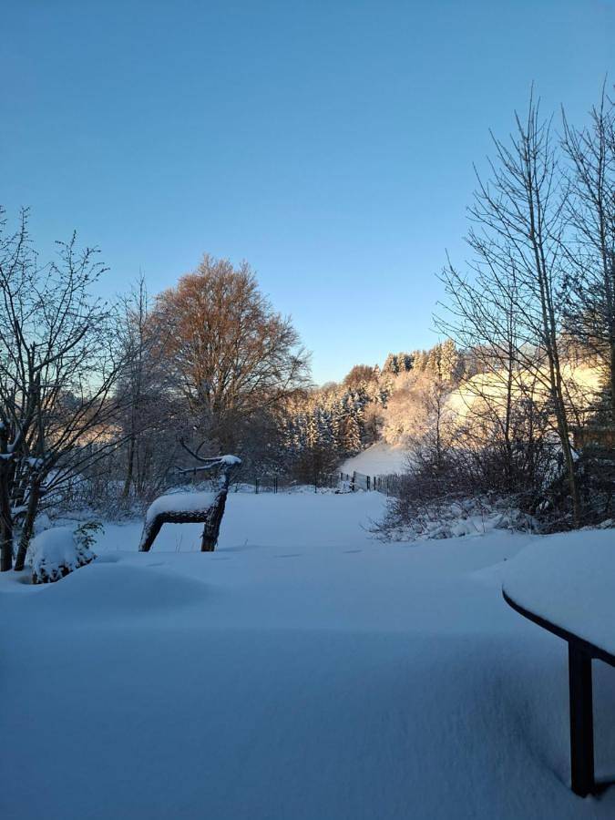 Villa für 10 Personen, mit Garten und Ausblick im Sauerland - 3