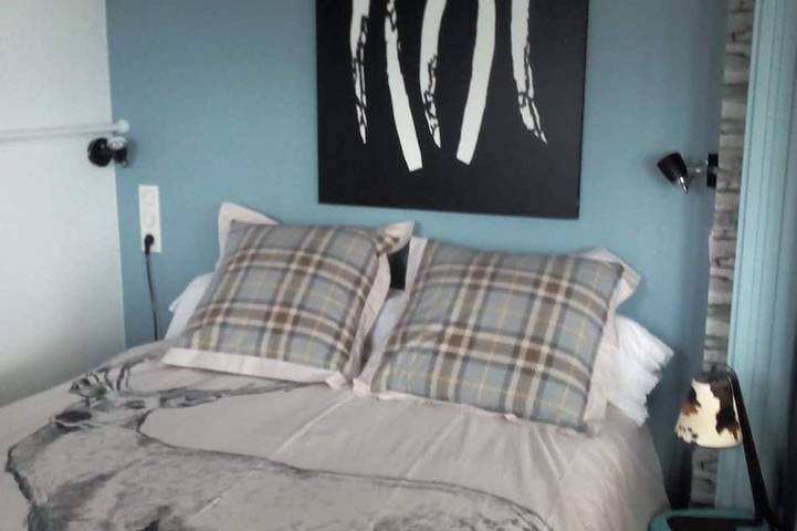 Gîte pour 3 personnes, avec jacuzzi et balcon dans Grand Port (Aix-les-Bains) - 2