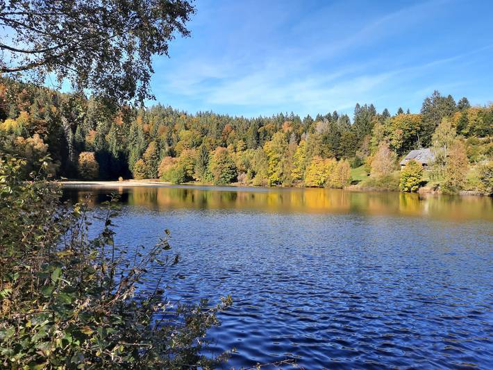 Ganze Wohnung, Ferienwohnung mit 30qm in Dachsberg, Südschwarzwald
