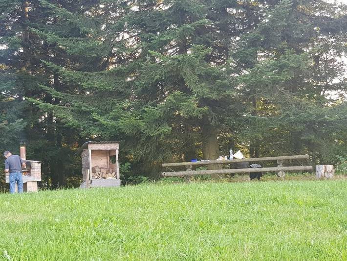 Bauernhof für 3 Personen, mit Garten in der Schweiz - 4