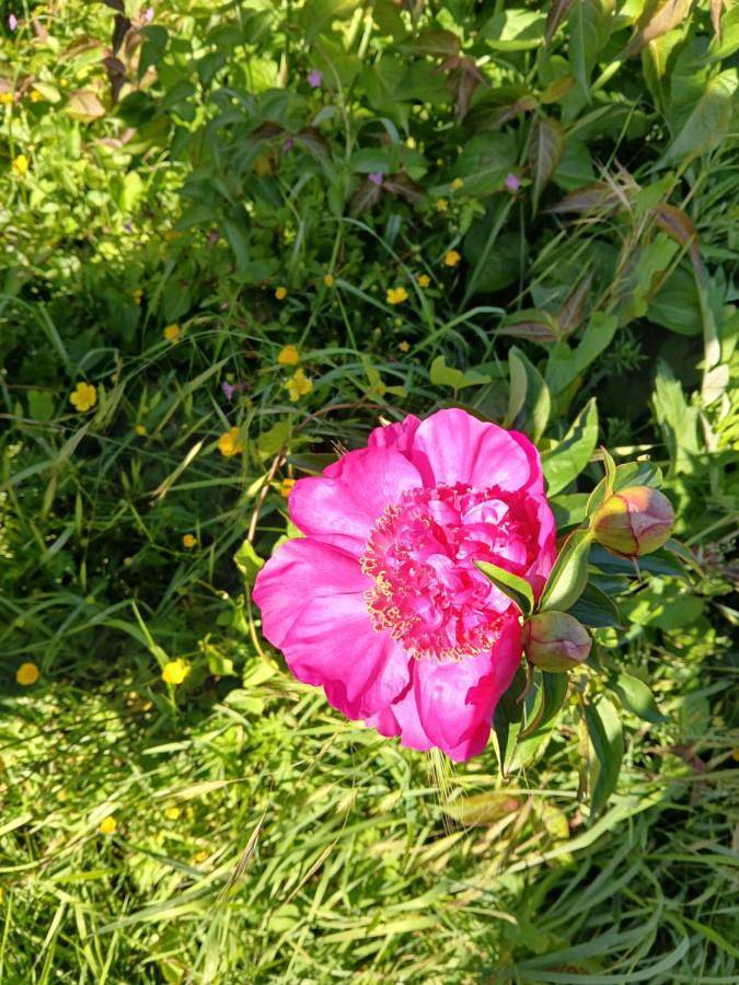 Location de vacances pour 2 personnes, avec jardin ainsi que vue et terrasse à Bannalec - 4