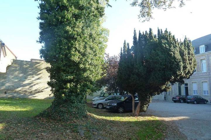 Gîte pour 4 personnes, animaux acceptés à Bergues - 4
