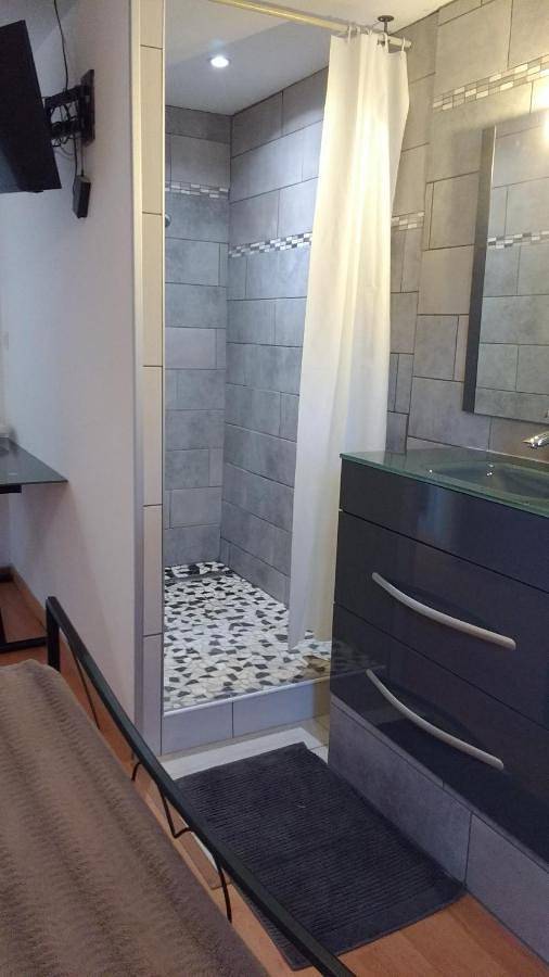 Gîte pour 5 personnes, avec jardin à Pressins - 2