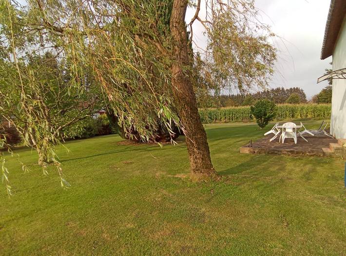 Gîte pour 5 personnes, avec terrasse et jardin, animaux acceptés dans les Vosges - 4